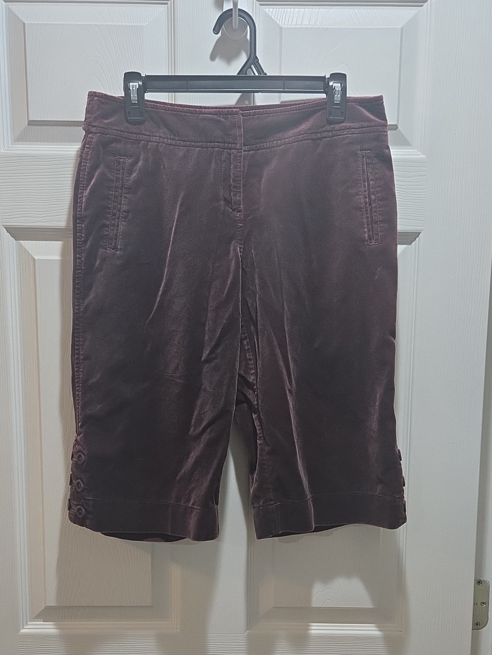 LOFT Velvet Bermuda Shorts in Plum. Pre-Owned. 6P.